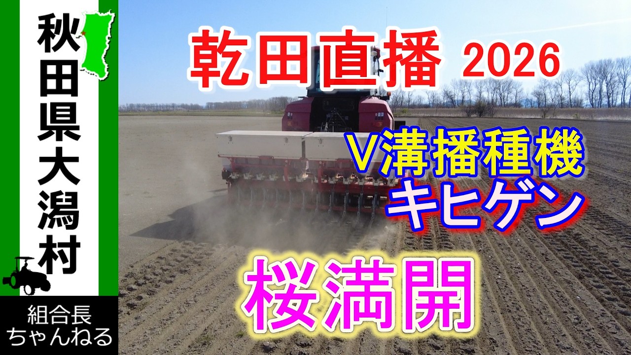 籾種 彩の絆 芽出し済 6,9kg 20260405現在 2026年のコーヒーの木の苗木の販売について – OKB Plants