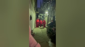 Accidentally Walked into a Cult