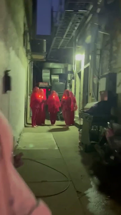 Accidentally Walked into a Cult