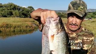 Pesca y fritanga para el amigo José Romero pesca con chuy