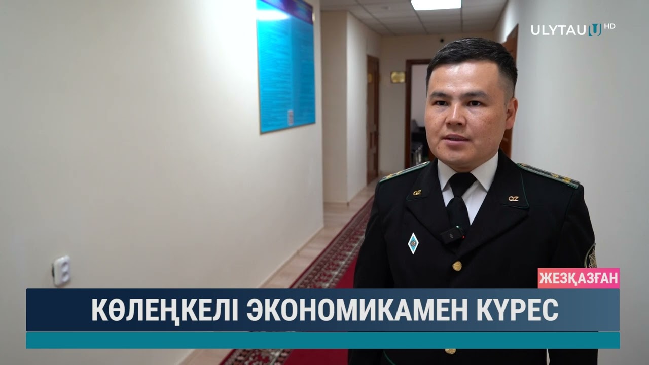 Көлеңкелі экономикамен күрес