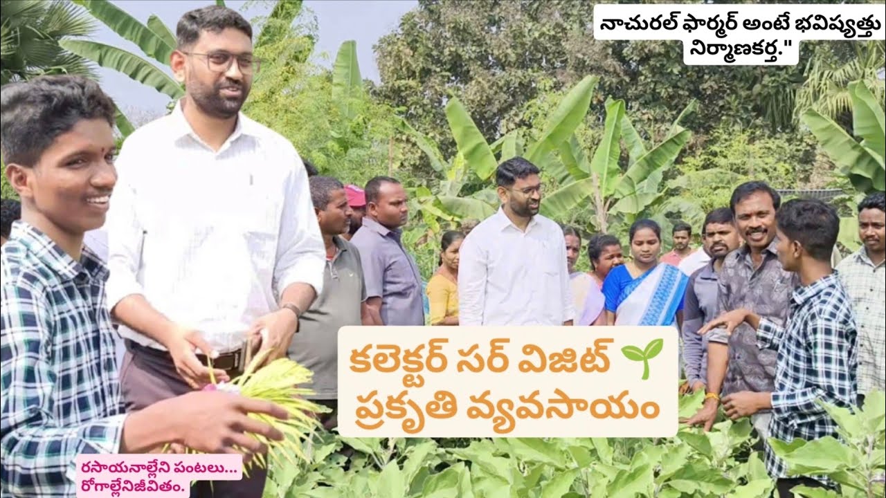 Bhadradri Kothagudem Collector Sir Visit | ప్రకృతి వ్యవసాయం 🌱#spk #naturalfarming #CollectorVisit