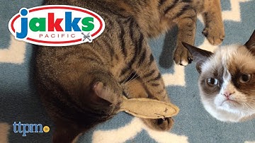 Grumpy Cat Fish-They Smell Sardines 2 Pack from Jakks Pacific