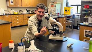 Focusing with Oil Immersion