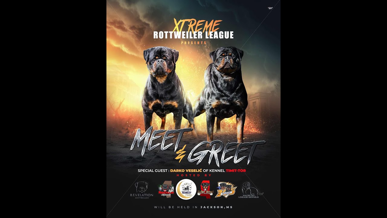 Extreme Rottweilers Extreme Rottweiler league show short - YouTube