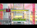 Hyve indoor farming systems commercial racking