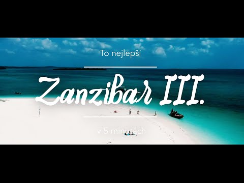 Video: Pět z nejlepších safari itinerářů v Tanzanii