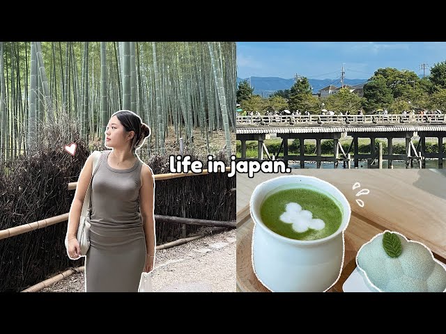 🍵 Life in Japan: train to Kyoto, snoopy cafe, matcha, bamboo forest, etc. 🌿 class=