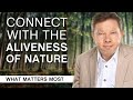 School of awakening how to connect with the aliveness of nature part 1