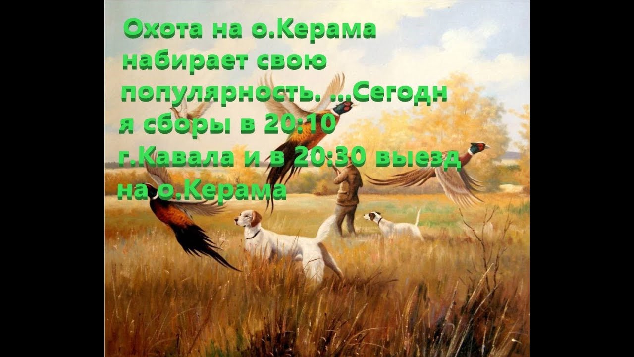 ОХОТА на о.Керама ๑۩ARMA 3 Profit Life RP۩๑ 