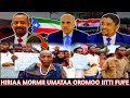 HIRIAA MORMII Mormii Umataa Oromoo Ittii Fufe Guyaa Araa Kibaa Oromia Moyalee Fi Dangaa Oromia Hunda HIRIAA MORMII Mormii Umataa Oromoo Ittii Fufe Guyaa Araa Kibaa Oromia Moyalee Fi Dangaa Oromia Hunda