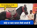 how to take up horse accessories!! घोड़े पर सारी चीजें केसे लगाऐ,