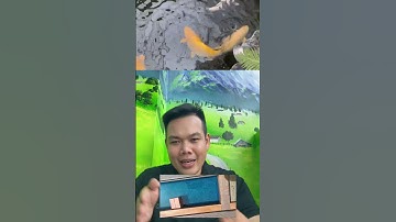 Hồ lọc có cần ngăn kaldnes không? Không có ngăn kaldnes liệu nước có trong #hocakoi #shorts