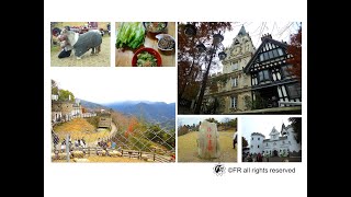 【旅遊景點】台灣-南投一日旅遊[清境農場(青青草原).老英格蘭維 ... 