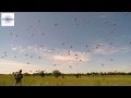 Paratroopers Reenact D-Day Normandy Jump Above Sainte Mère Eglise