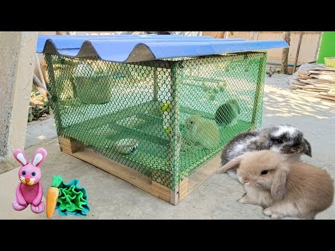 วีดีโอ: วิธีสร้างกรงกระต่าย