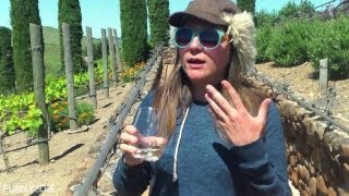 I hate california: wine country -
