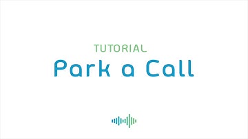 Polycom 350 - How To Park a Call - Qbits Tutorial