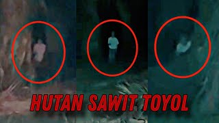 HUTAN SAWIT TOYOL - HANTU ORANG TUA MUKA PUCAT Mengintai | Paranormal DZP Dauz | SUARA BUDAK KETAWA!