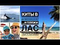 КИТЫ В ДОМИНИКАНЕ с Kim Beddal! Лас Терренас - Пляжи Punta Poppi, El Portillo, крутое кафе Porto!