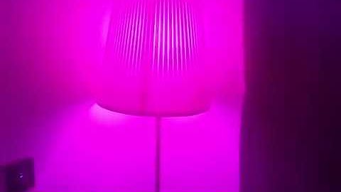 Alexa Echo Dot SmartThings Smart Home Automation Colour Changing LED Smart Lighting Door Siren Demo