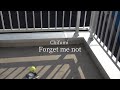 Chifumi「Forget me not」Music Video