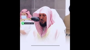 حالات واتس اب قرآن بصوت الشيخ ماهر المعيقلي _ وسارعوا الي مغفرة من ربكم _ سورة ال عمران