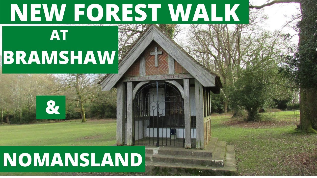 NEW FOREST WALK : BRAMSHAW & NOMANSLAND (NEW FOREST NATIONAL PARK)