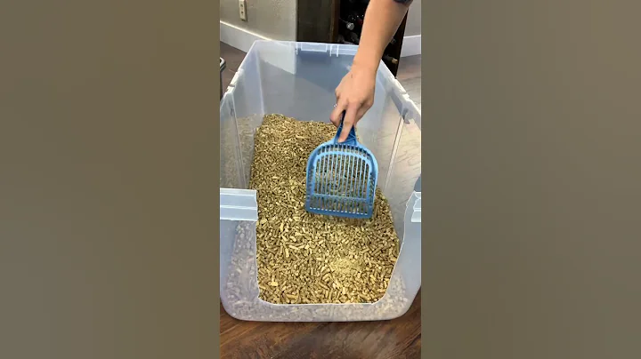 How To Scoop Pine Pellet Litter | Two Crazy Cat Ladies #cats #catlitter #cattips