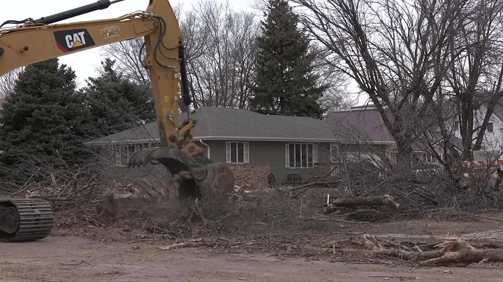 Tree removal uprooting lots of emotions