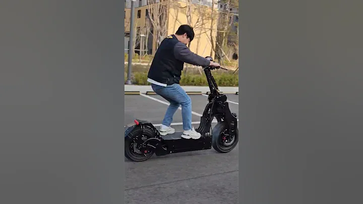 Electric Scooter WEPED Sonic Burnout - DayDayNews