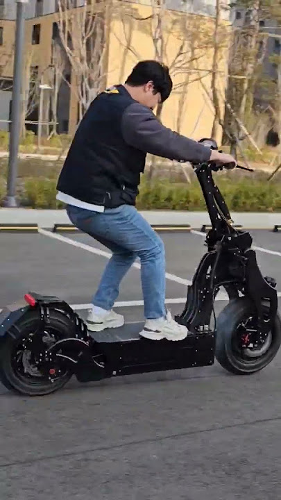 Electric Scooter WEPED Sonic Burnout