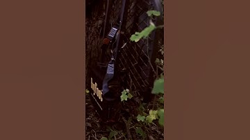 Treestand Szn In Session 😏#deerhunting #shorts #bowhunting