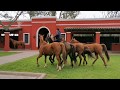 Estancia La Bamba San Antonio de Areco Argentina