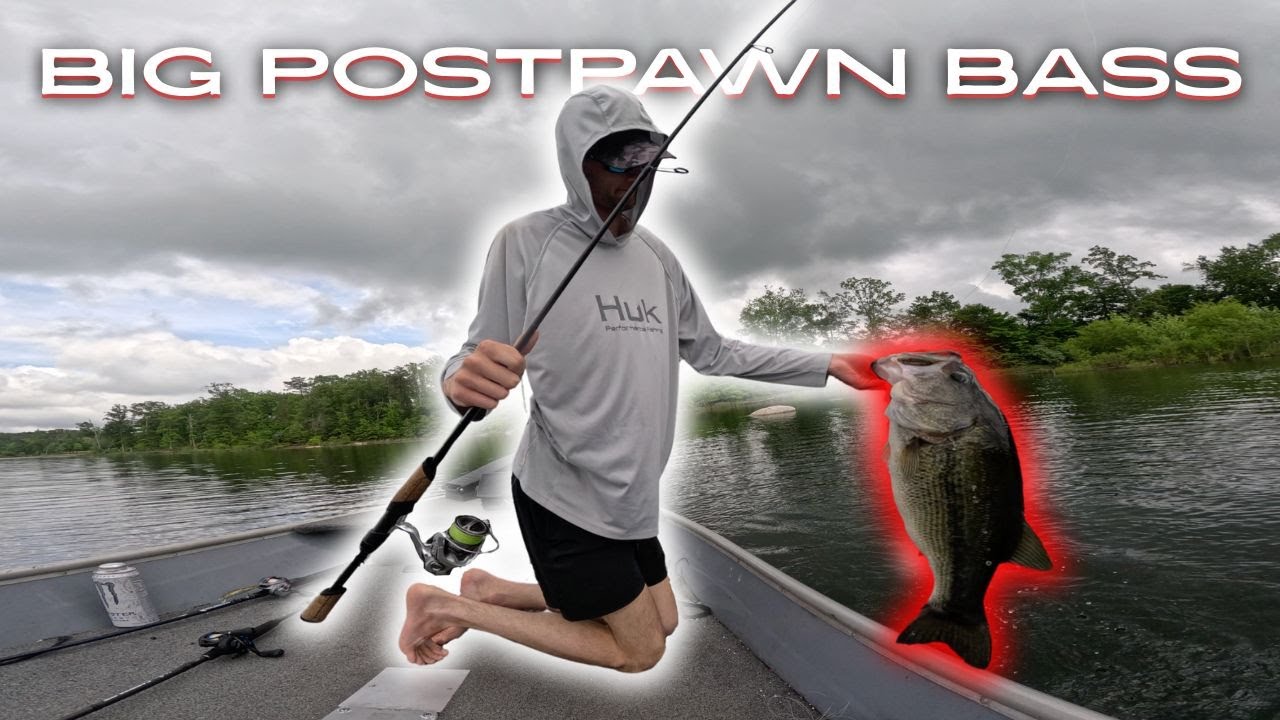 How to catch BIG Post Spawn Bass