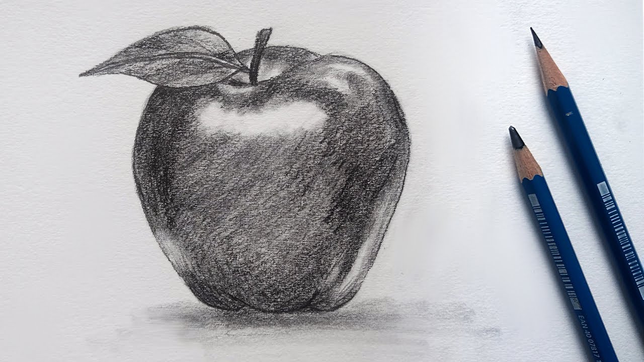 How to Draw an Apple in Pencil Easy Learn Light & Shadow YouTube