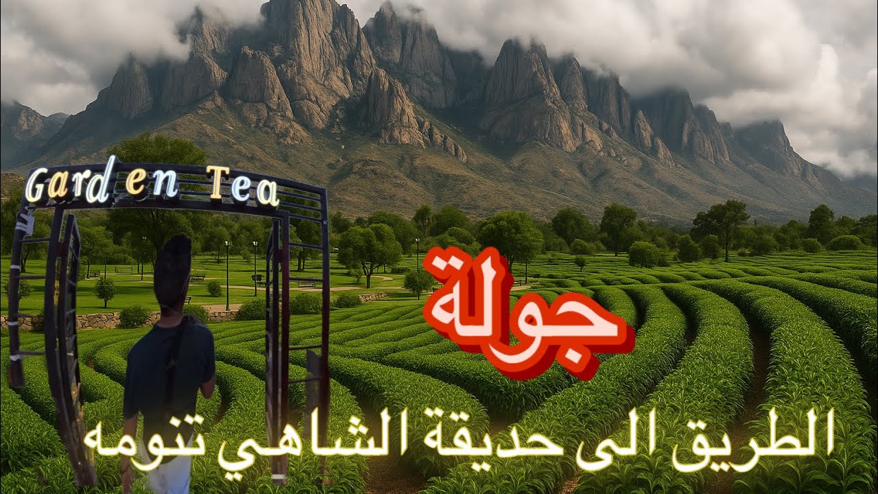 رحلة ساحرة إلى حديقة الشاي في تنومة | بين الجبال والمزارع الخضراء