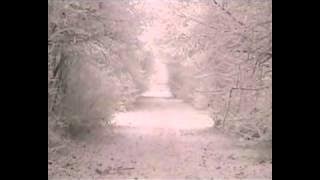 Sigur Ros - Olsen Olsen