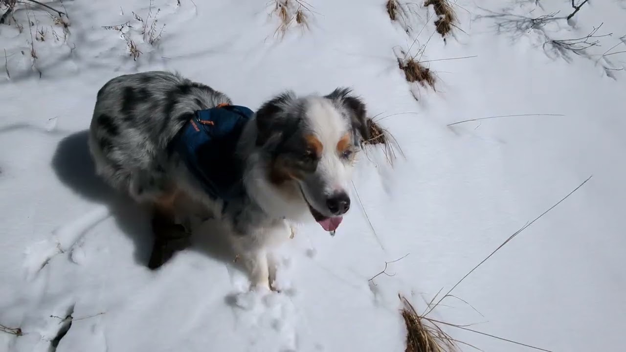 Taylor Canyon down hike 
