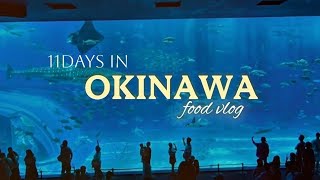Okinawa vlog 10 Best Restaurants Cafes in 11 Days 10