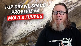 Crawl Space Problem #4  Mold | What Causes It & What to Do