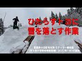 ひたすらトヨへ雪を落とします！