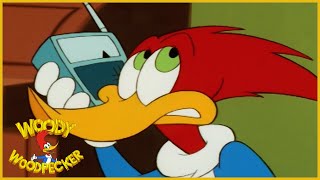 Woody Woodpecker Show | He Wouldn't Woody | Full Episode | Videos For Kids