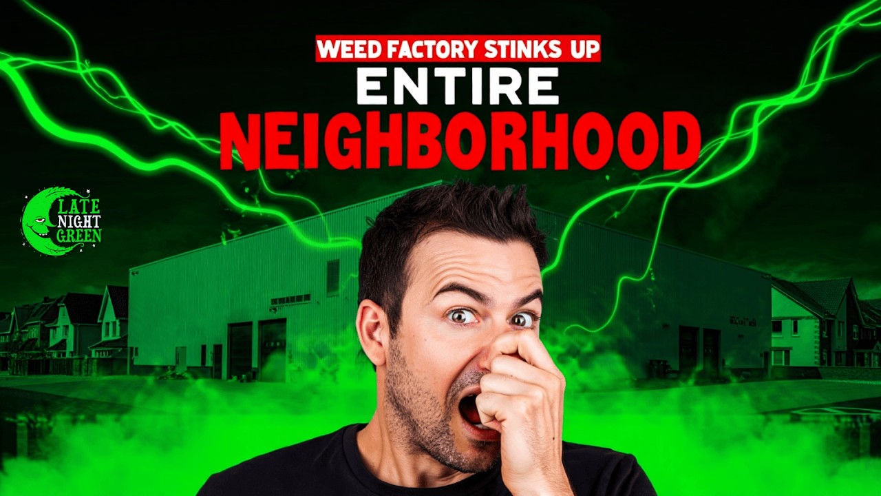 99 Complaints: Should This Cannabis Grow Lose Its License?