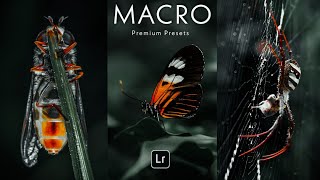 Macro Photography Presets | Free Download DNG | Tutorial Mobile Lightroom screenshot 5