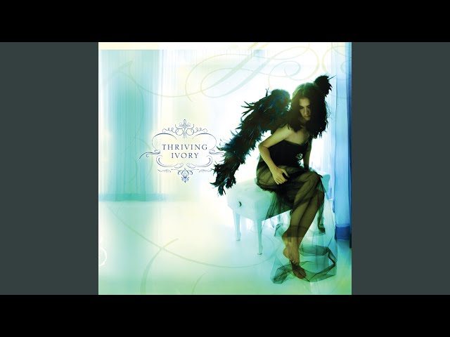 洋楽 Steve Ivory Fantasy 洋楽 Steve Ivory Fantasy 洋楽 Steve Ivory Fantasy 洋楽 Steve