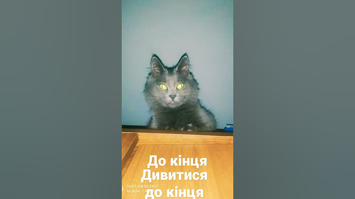 Дивитися до кінця