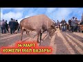 МАЛ БАЗАР 14-МАРТ 2021-ЖЫЛ/XOJELI MAL BAZARI/BIG BULLS IN THE WORLD