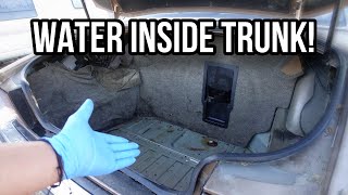 How To Find and Fix Trunk Water Leaks in Your Car Net Worth