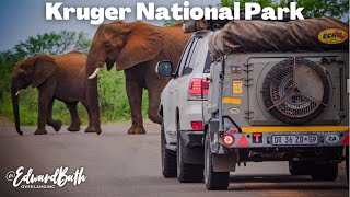 Overlanding The Kruger National Park | Tamboti Tented Camp | Limpopo Episode 4